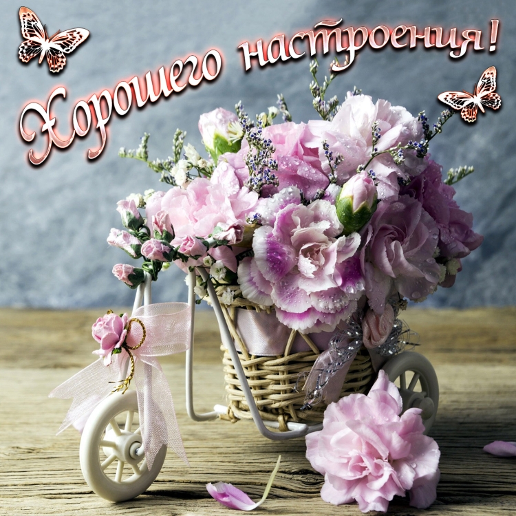 Открытка прекрасный день