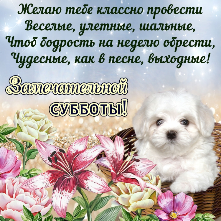 Добрые пожелания
