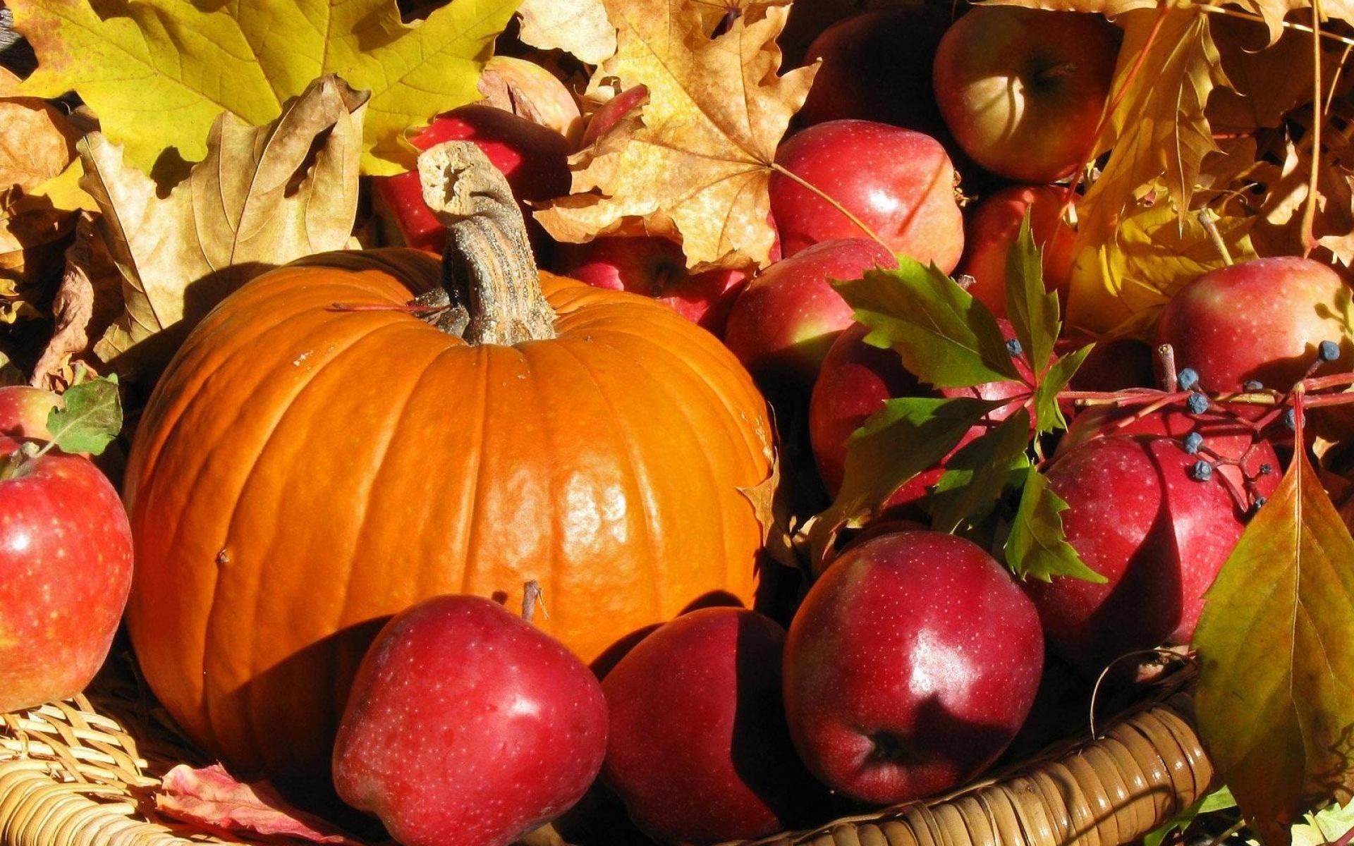 Овощи ноябрь. Дары осени. Осенний урожай. Осенние дары природы. Осенние овощи и фрукты.