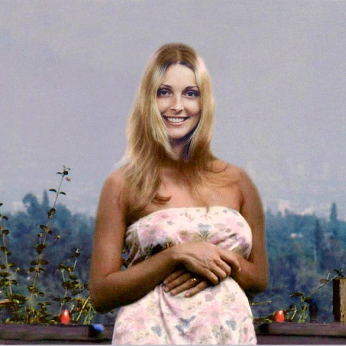 История шэрон тейт. Шэрон Тейт. Шэрон Тейт Sharon Tate. Шэрон Тейт 1969.