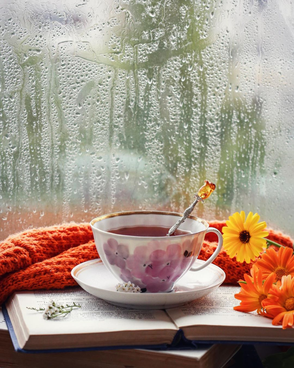 Дождливое утро добрым пожелания. Доброе дождливое утро. Доброе дождливое осеннее утро. Кофе дождливое утро. Утро дождь.