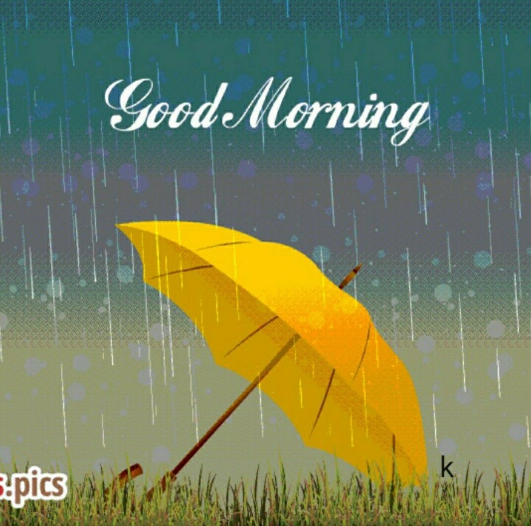 доброе дождливое утро картинки необычные