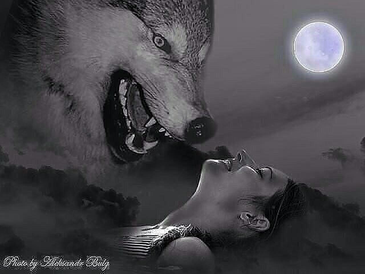 Чувственный оскал. Девушка с волком. Волчица и девушка. Волк одиночество. Волки любовь.