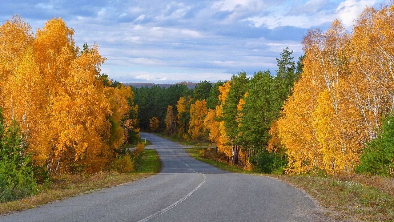 Золотая осень дорога