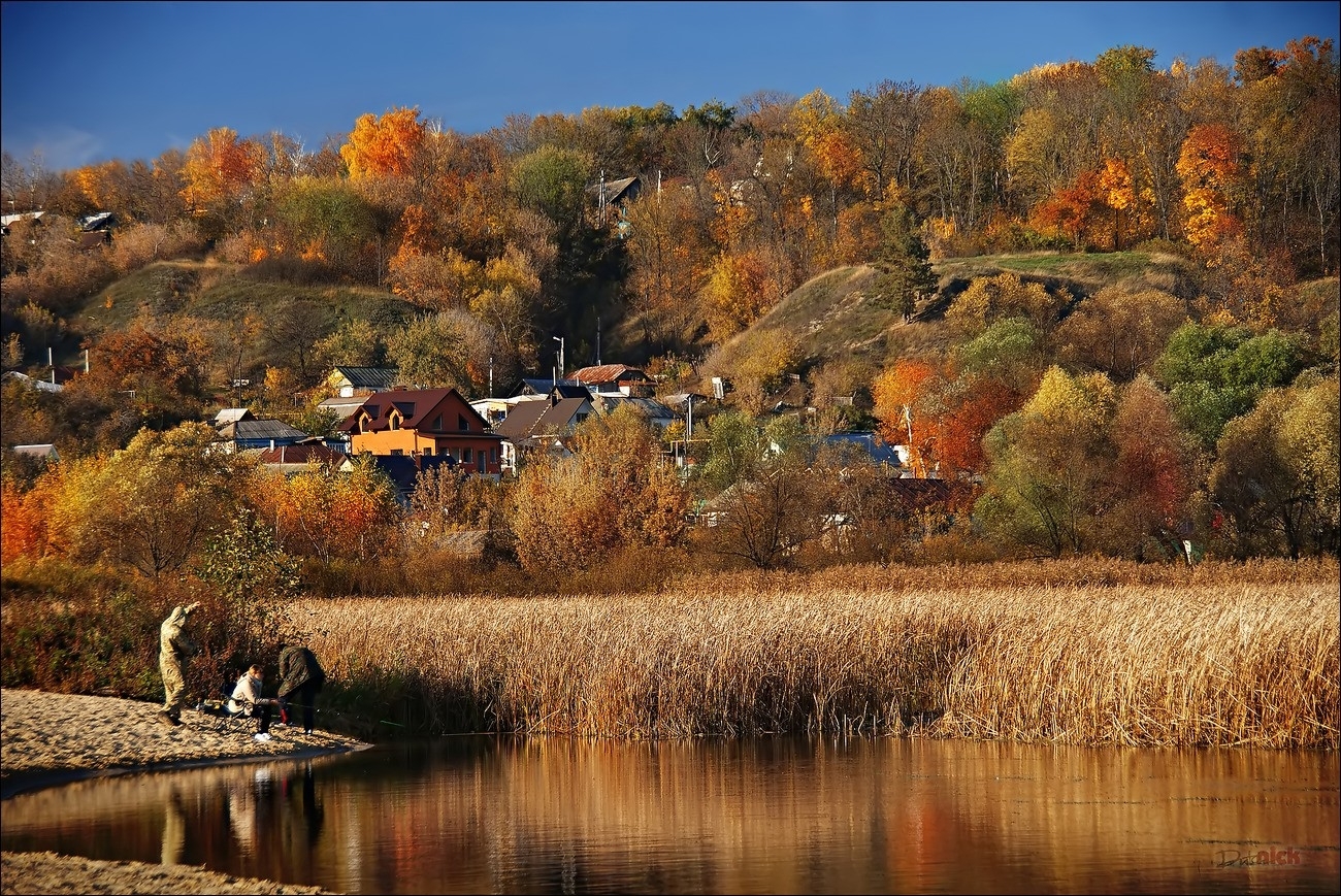 Воронежская природа. Рамонь Воронежской области осень. Воронеж Рамонь осенью. Рамонь Воронеж осень. Рамонь Воронежская область природа.