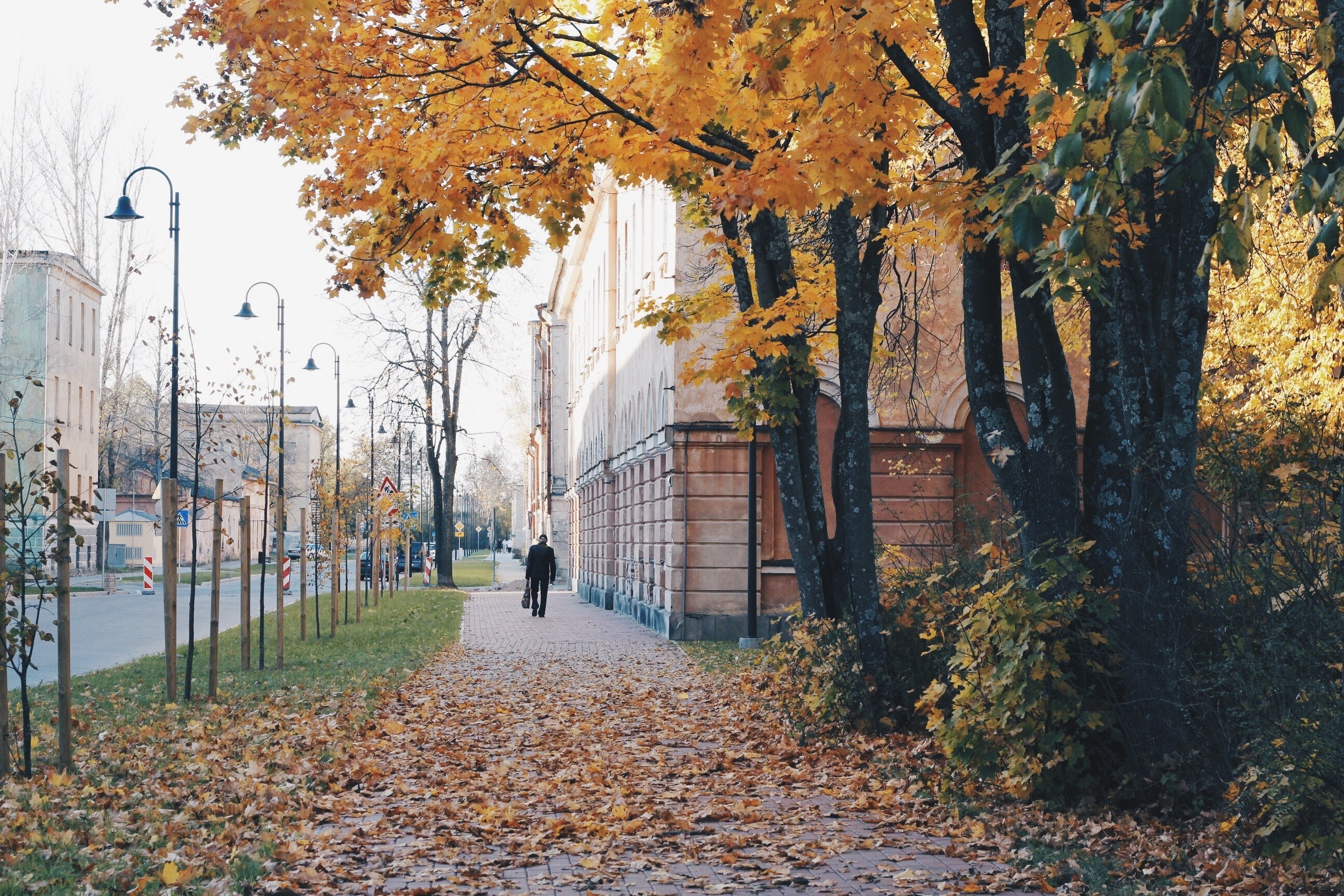 Улица ноябрь. Осень в городе. Осенняя улица. Город осенью. Улица осенью.