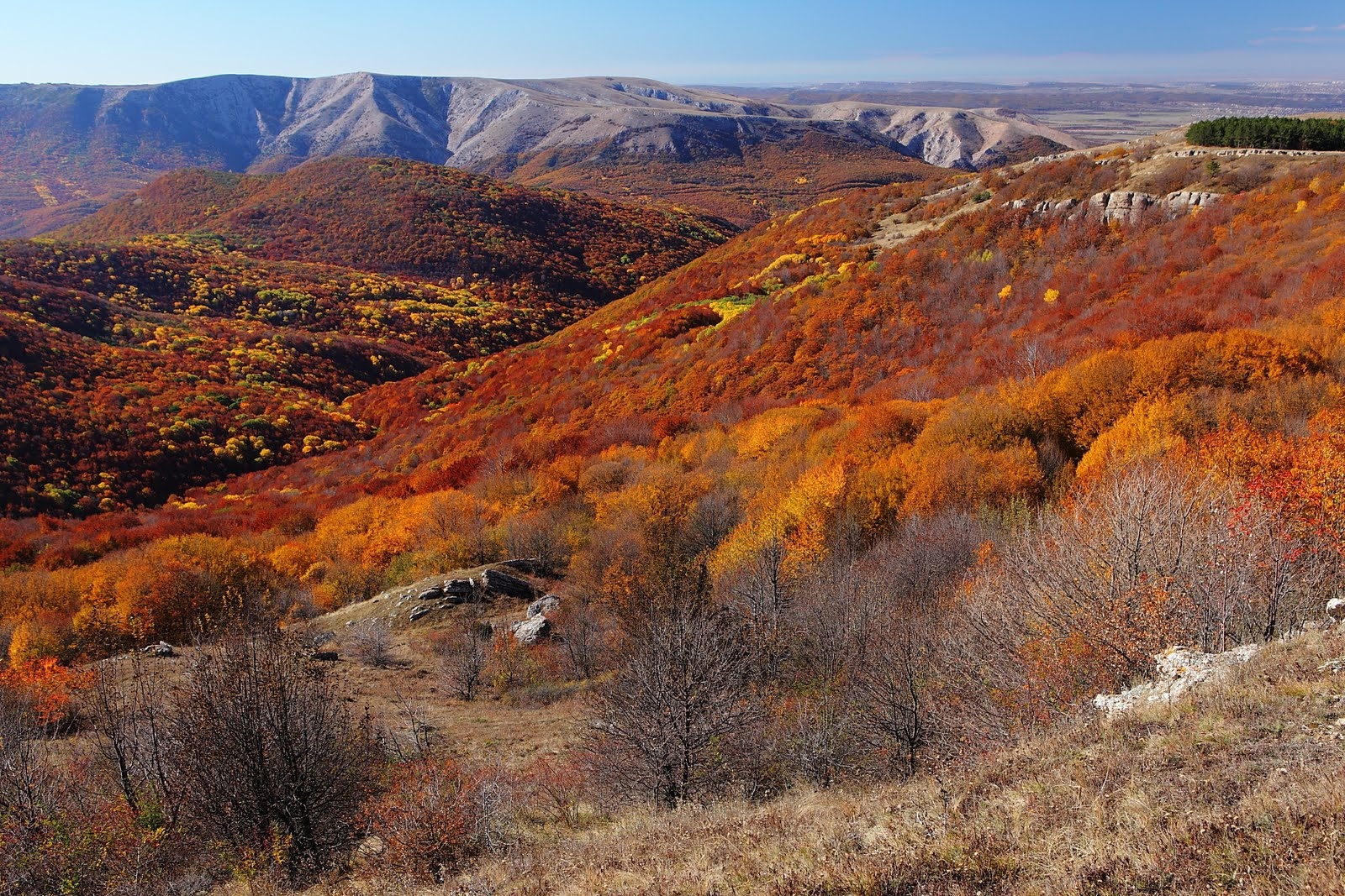 Осень в крыму. Гору Хермон Золотая осень. Золотая осень в Крыму. Осенний Крым. Крым осенью.