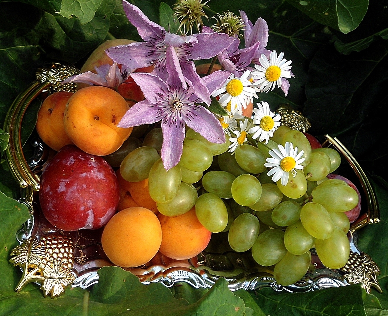 Фруктовая трава. Летние фрукты. Красивые фрукты. Цветы и фрукты. Натюрморт с цветами и фруктами.