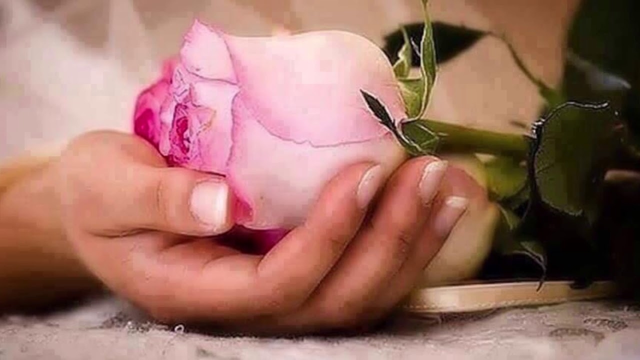 Розочки дарить. Цветок на руку.. Цветы в ладошках. Нежные цветы в руках. Цветы в руках женщины.