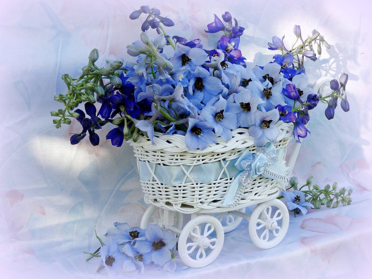 День рождения колокольчика. Букет с колокольчиками. Колокольчики в корзине. Красивые букеты из колокольчиков. Цветы в голубой корзинке.