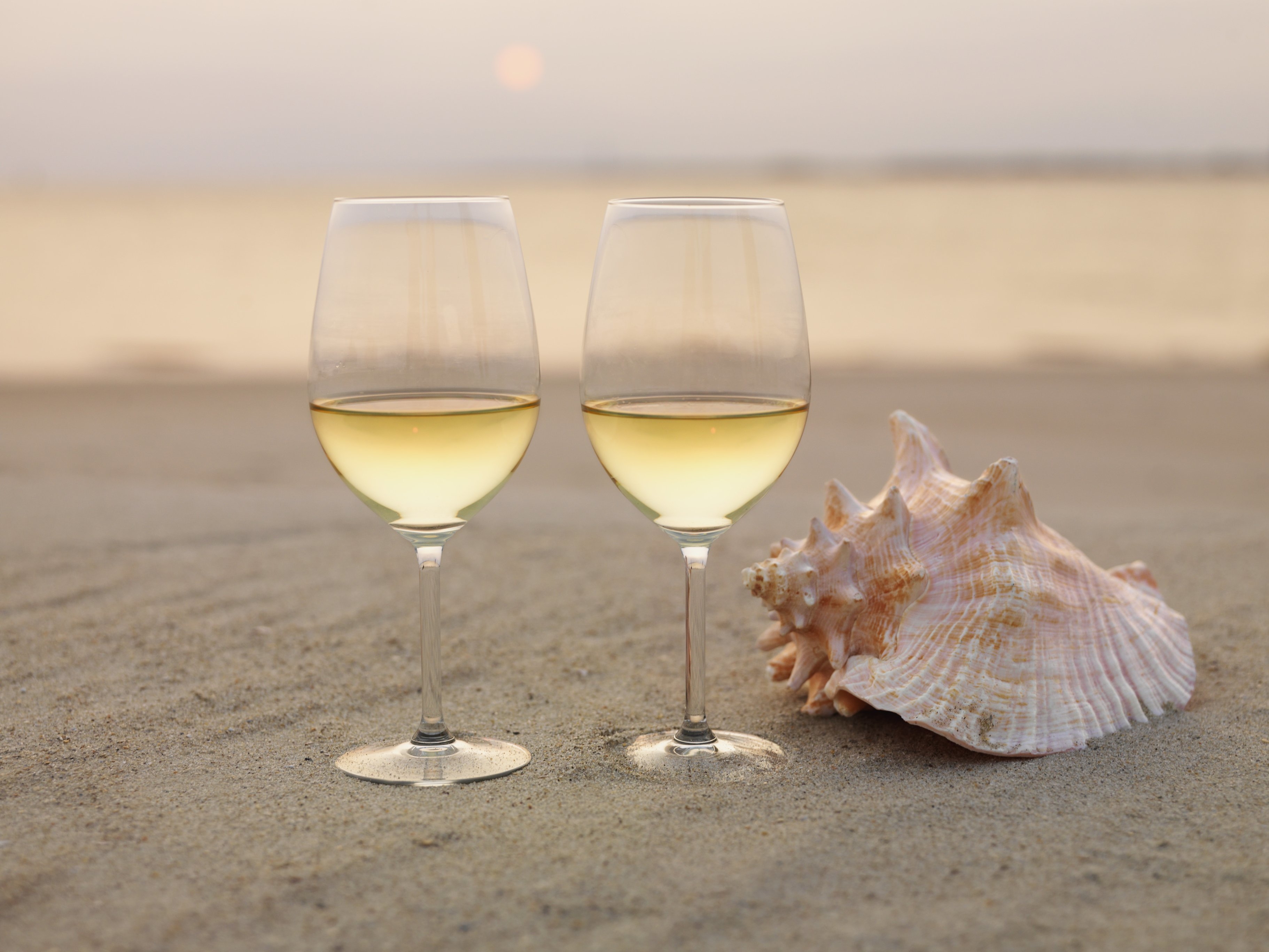 More champagne please. Бокал шампанского на берегу моря. Вино и море. Бокал на фоне моря. Шампанское бокалы на берегу моря.
