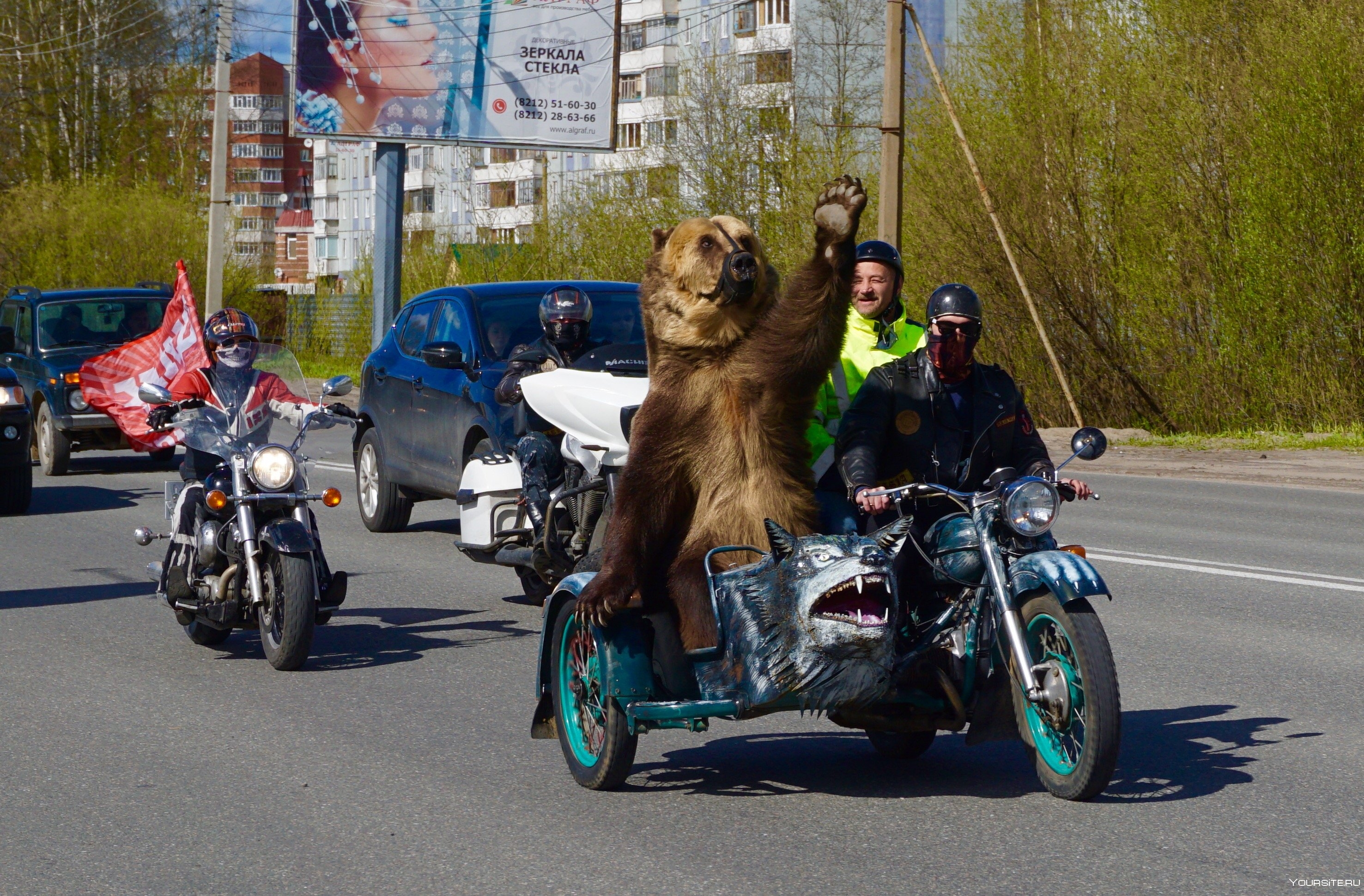 2015 Медведь на мотоцикле