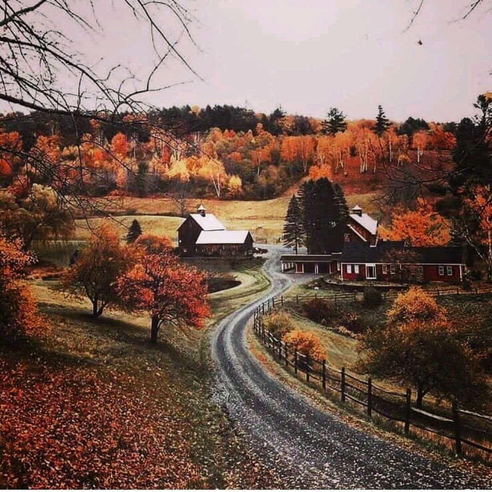 Autumn long. Проклятый лес. США, штат Вермонт.. Штат Вермонт дорога. Осенний пейзаж. Осень в пригороде.