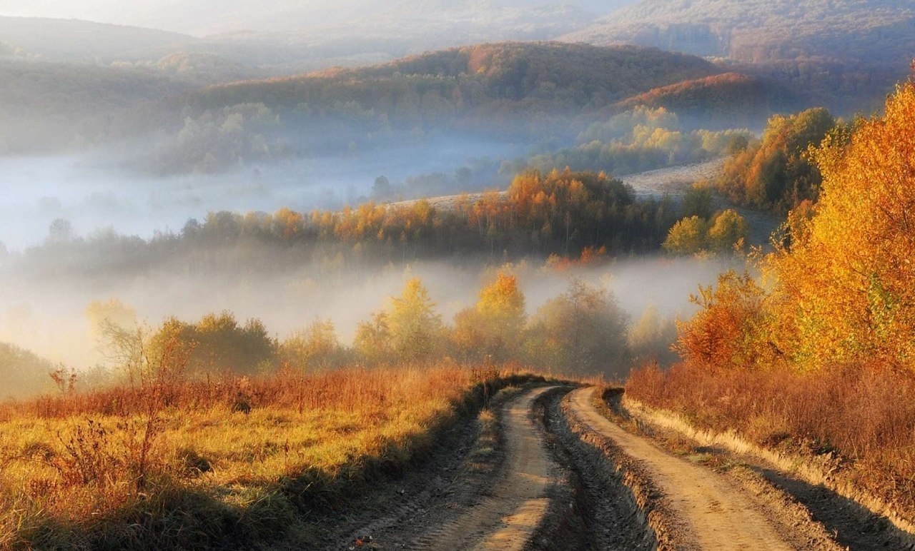 Теплая дорога. Теплый пейзаж. Осенний туманный пейзаж. Теплый осенний пейзаж. Осенний пейзаж туман.