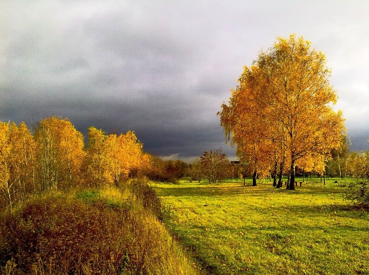 Люблю природу русскую осень. Осень в России. Русская природа осенью. Осенний пейзаж Россия. Золотая осень.