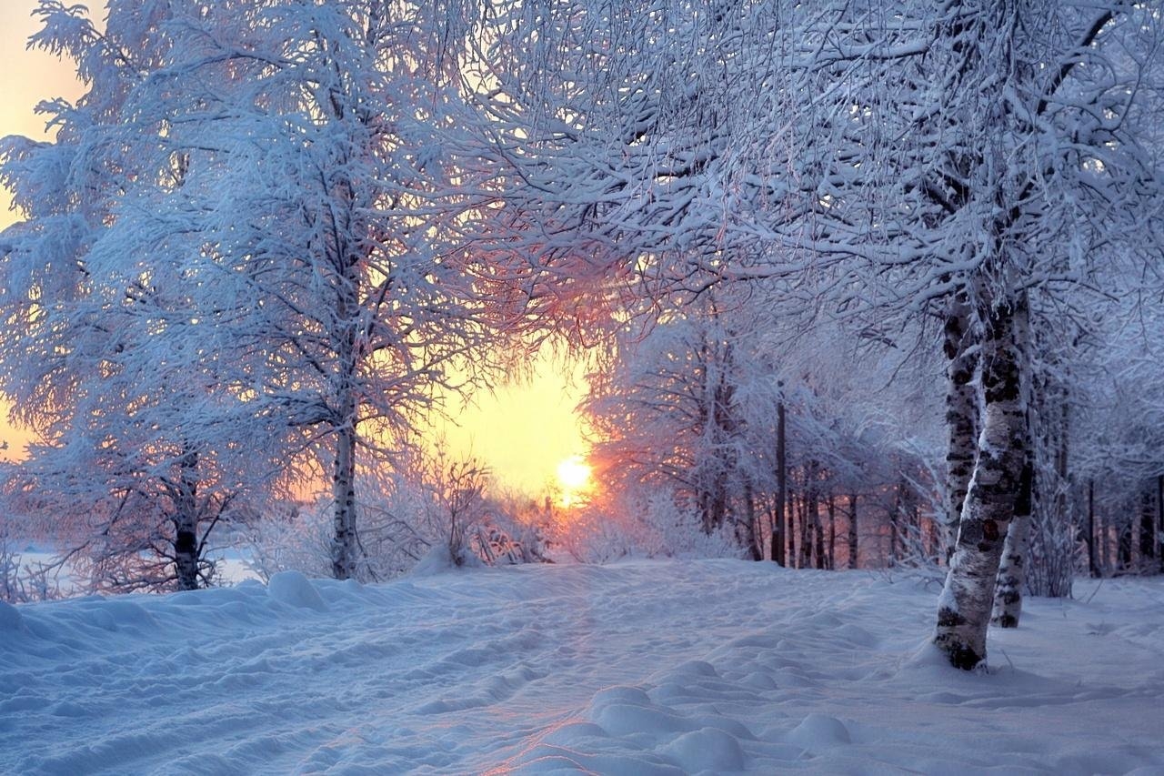 Зимний день зимняя куртка зимнее утро. Зимнее утро. Зима и солнце день чудесный. Зима декабрь. Солнечный зимний день.
