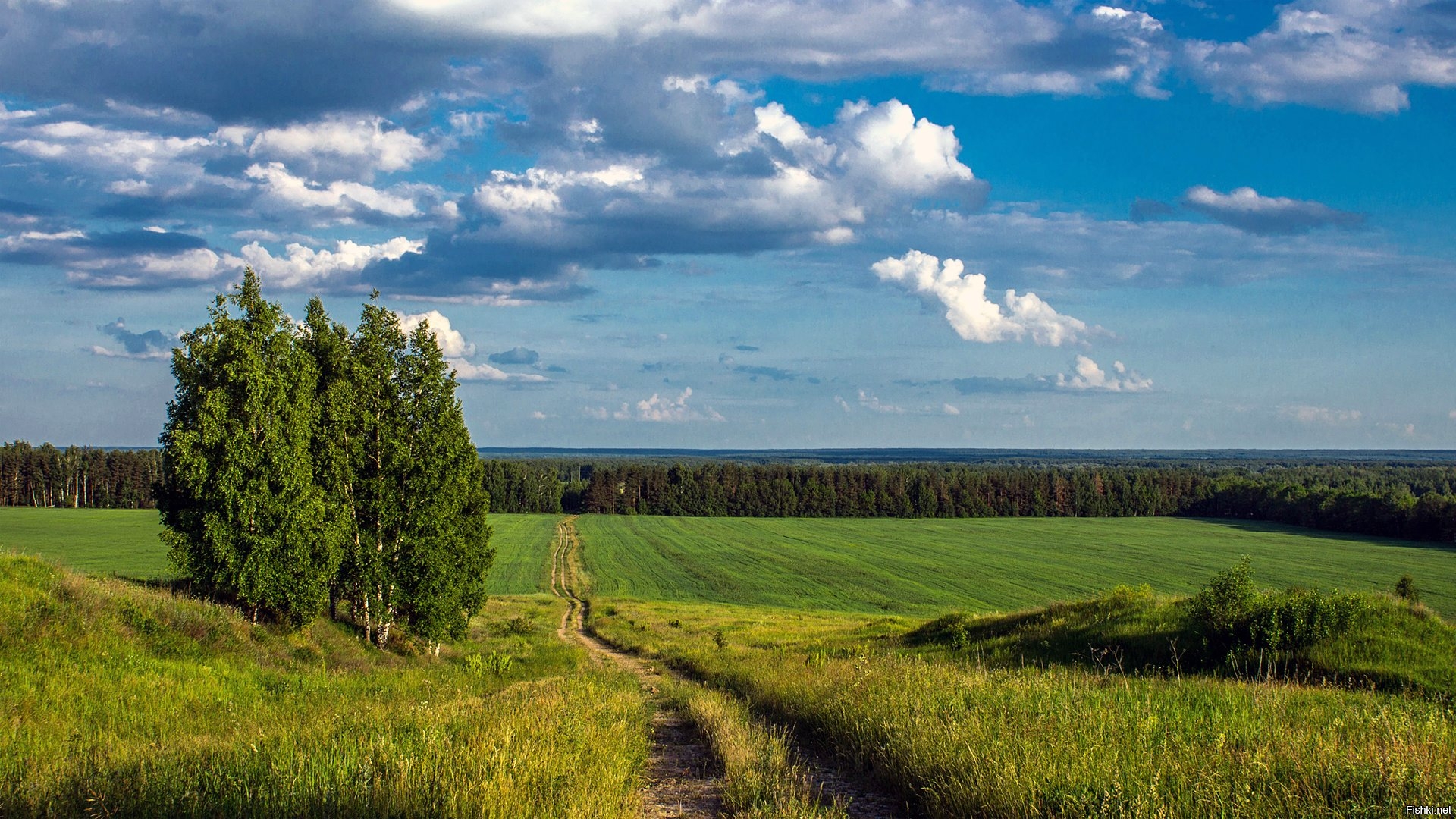 Красивые места в Тюмени природа