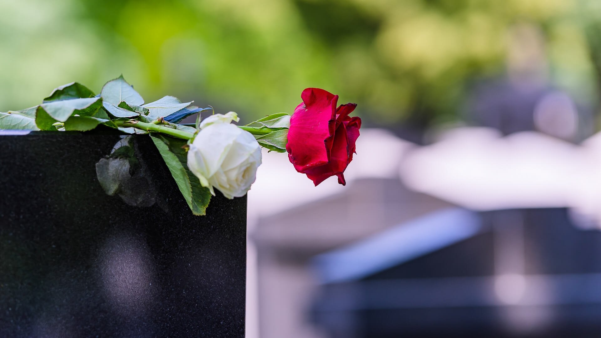 Счастливо прощание. Цветы на похороны. Цветы на могилу. Траурные цветы. Траурные розы.