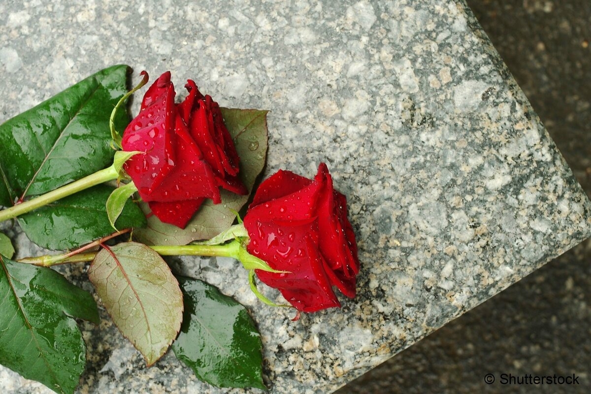 Разгадывать розы. Розы на могиле. Две розы. Прощальные цветы. Два цветка розы.