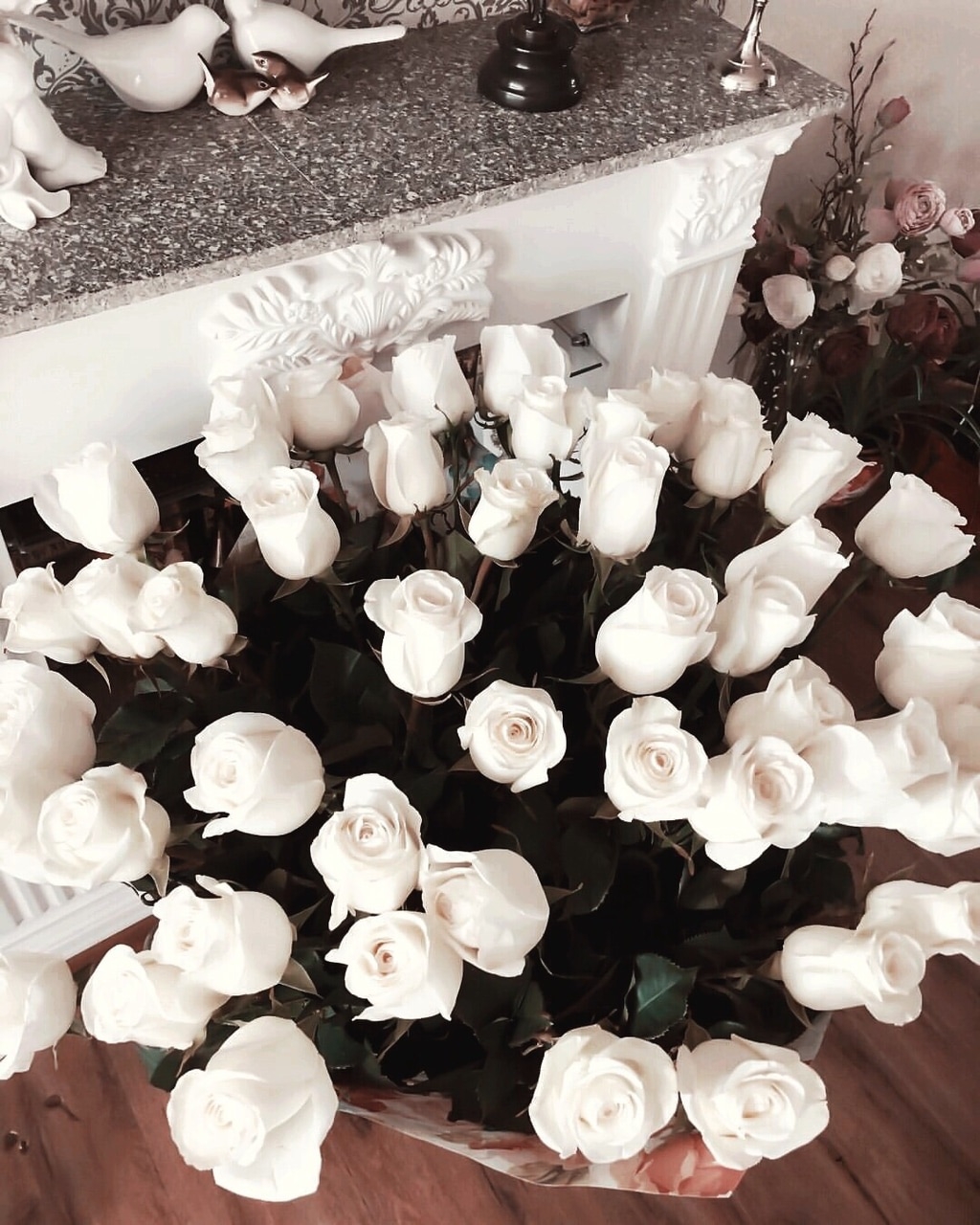 Белые розы оттенки. Эстетика белого цвета. Белые цветы. Цветы Эстетика букет. Цветы белые розы.