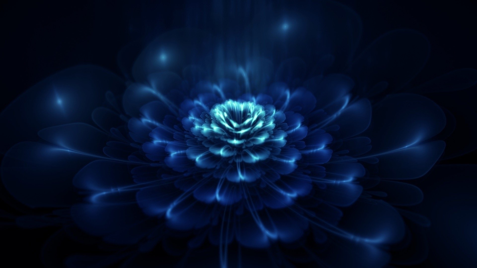 Цветок на темном фоне обои. Синие цветы. Цветы на темном фоне. Темно синие цветы. Цветы на черном фоне.