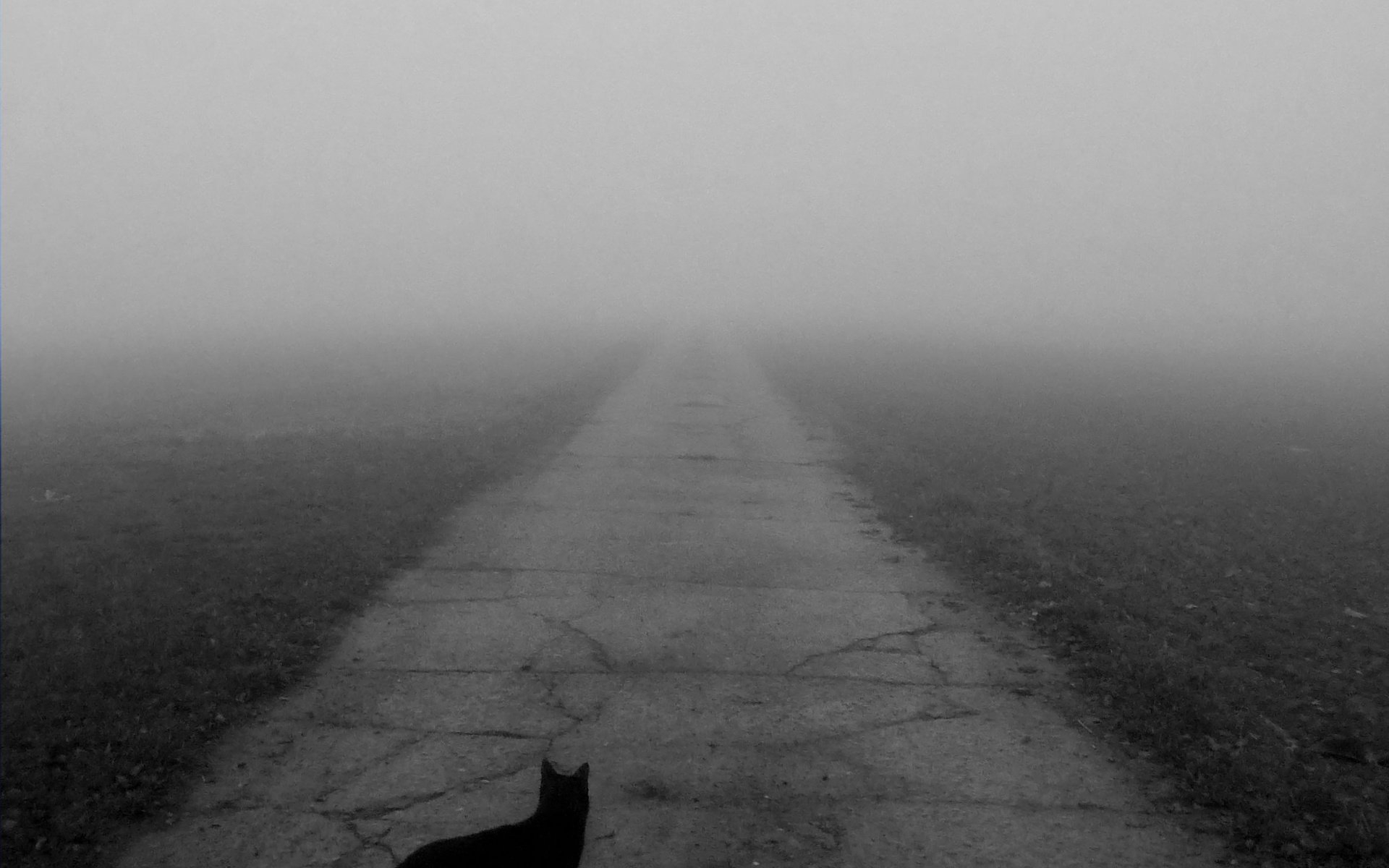Никуда здесь. Дорога никуда. Одиночество дорога. Пустота. Темная дорога.
