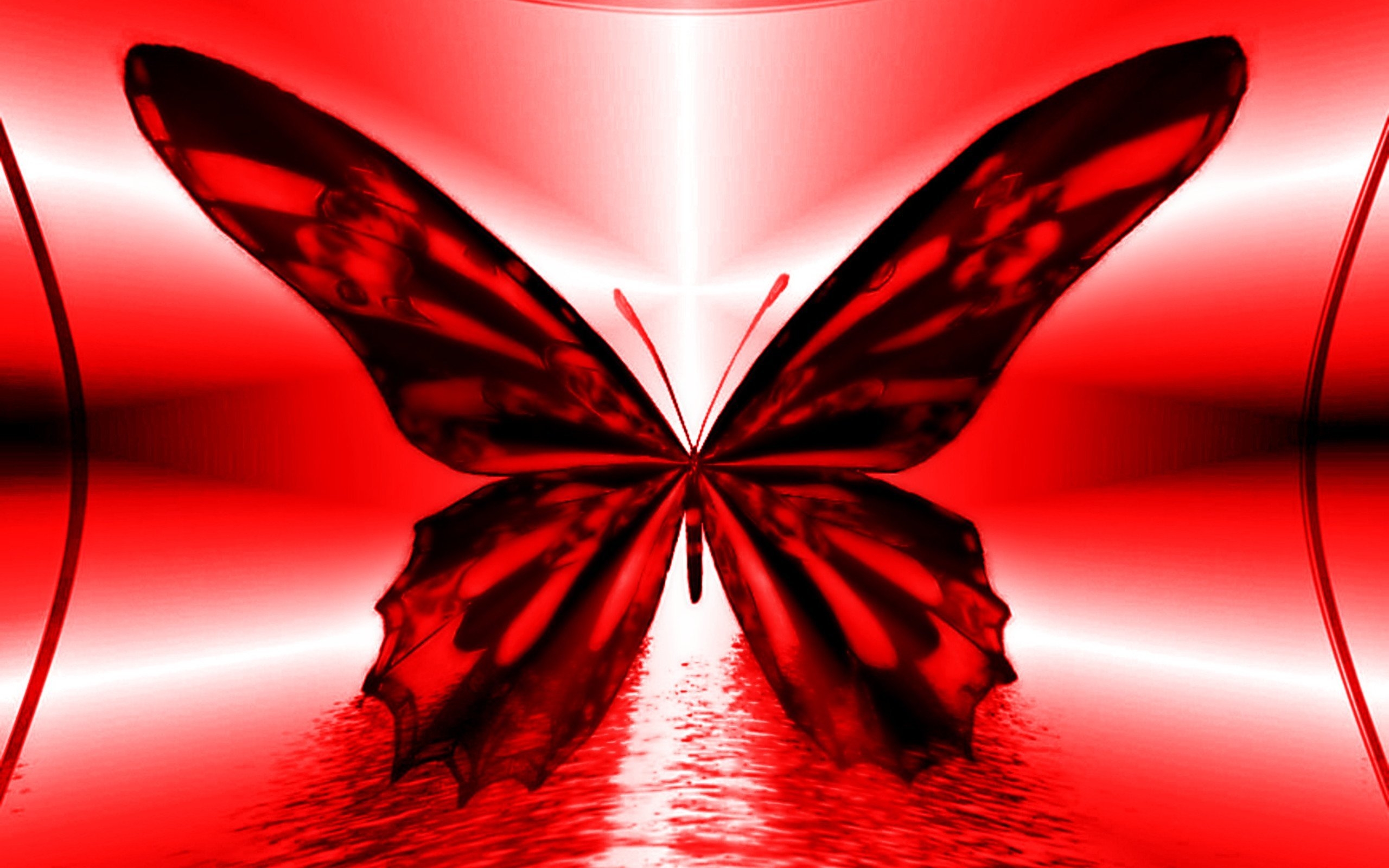 Аватарки с бабочками. Алмазная мозаика "бабочка". Бабочка фиолетовая. Картинки на рабочий стол бабочки. Черно красная бабочка.