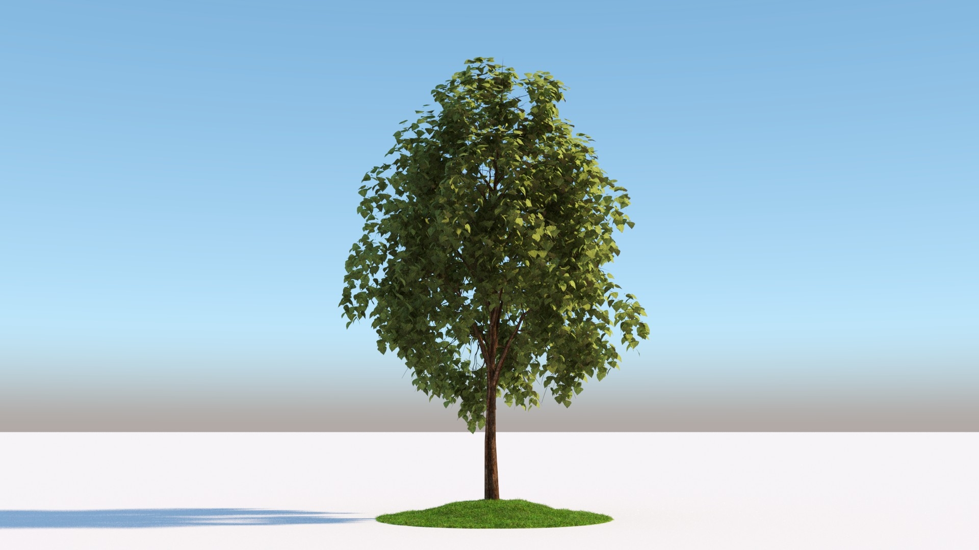 Дерево для 3d Max