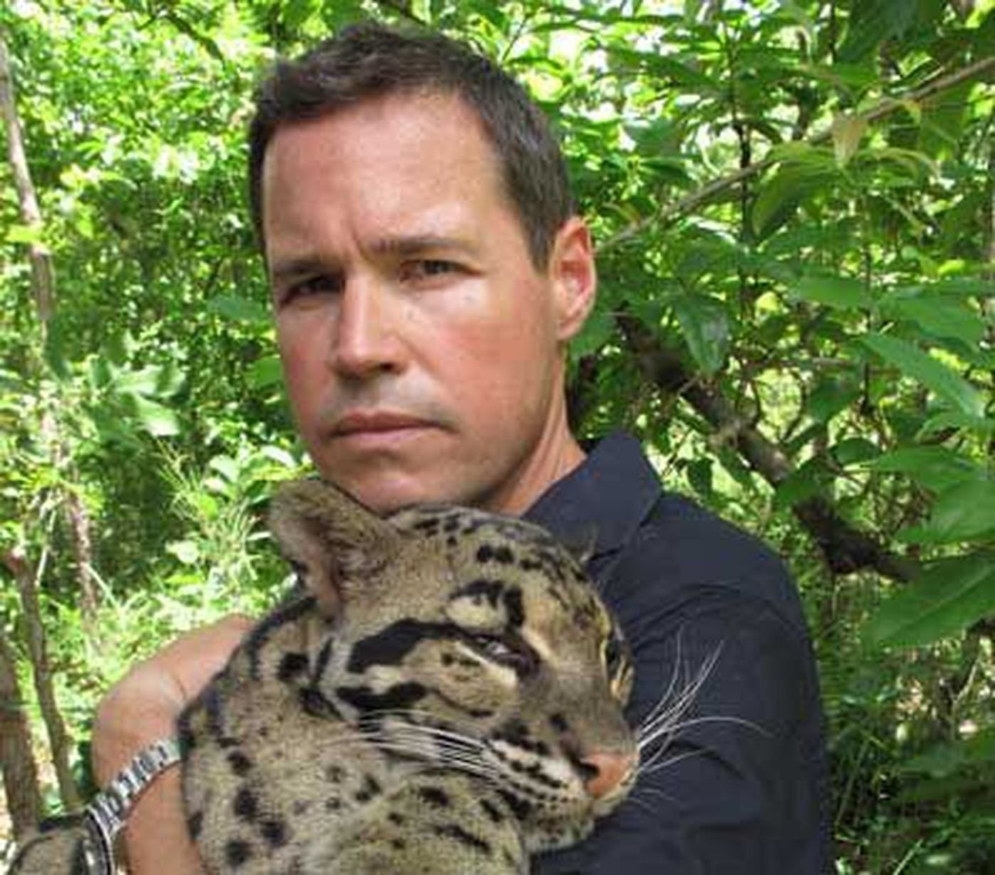 Adam ocelot