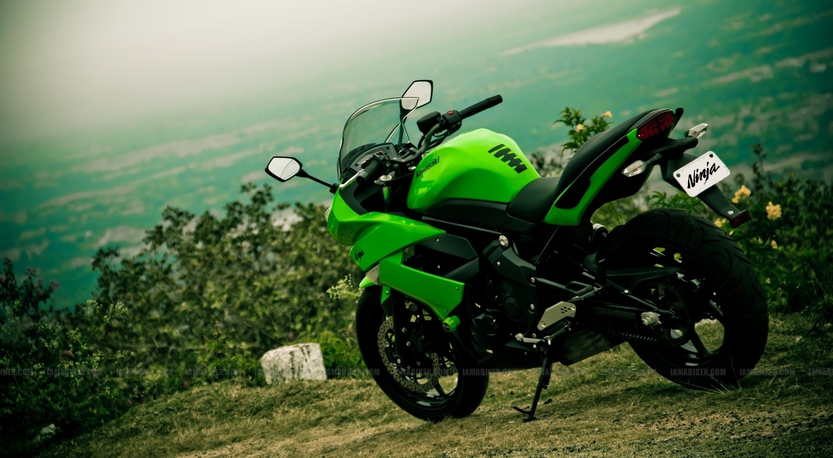 Kawasaki Ninja 300 Stunt