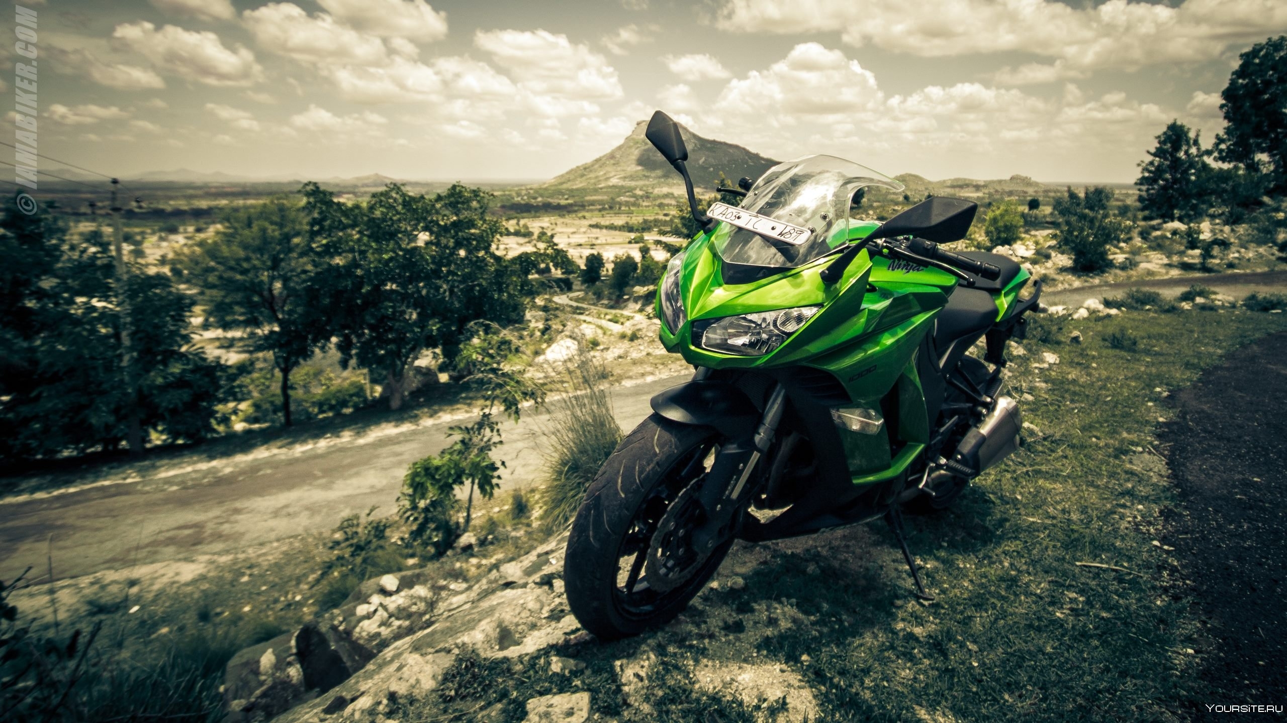 Kawasaki Ninja 300 Art