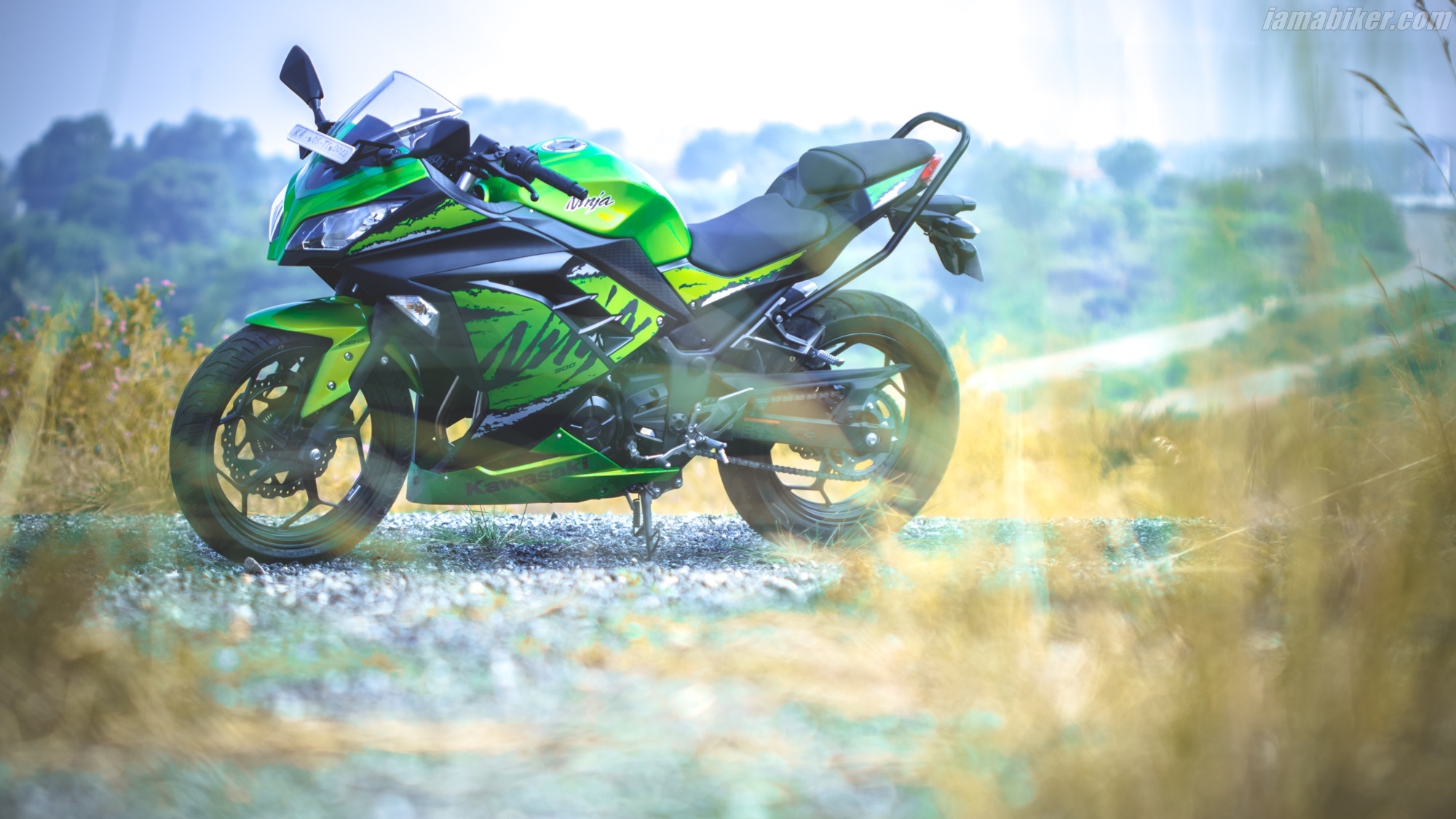 Kawasaki Ninja 300 Stunt