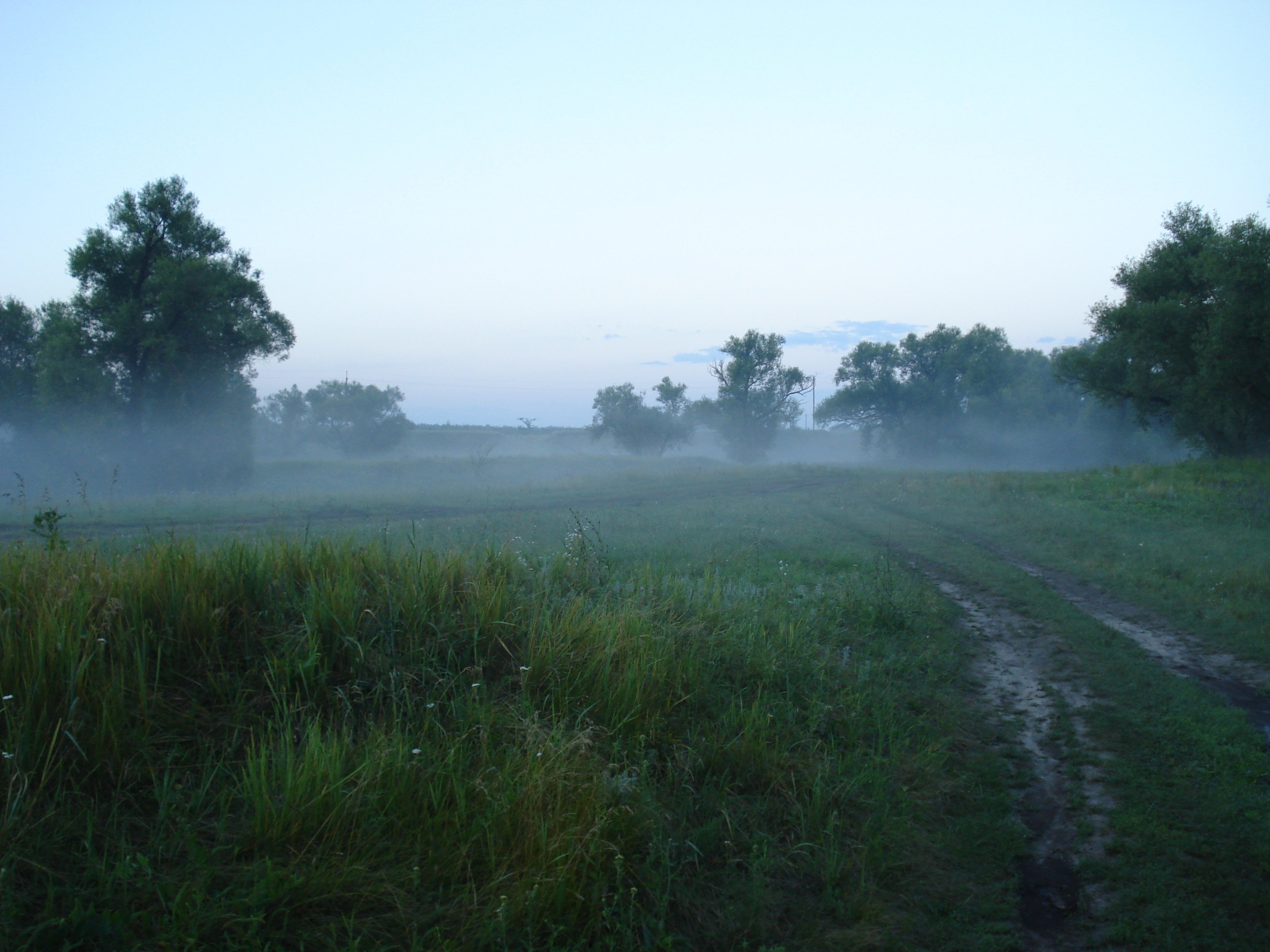 Вдруг навалился туман как будто. Пасмурное летнее утро. Деревня лето туман. Утро в деревне. Туманное утро.