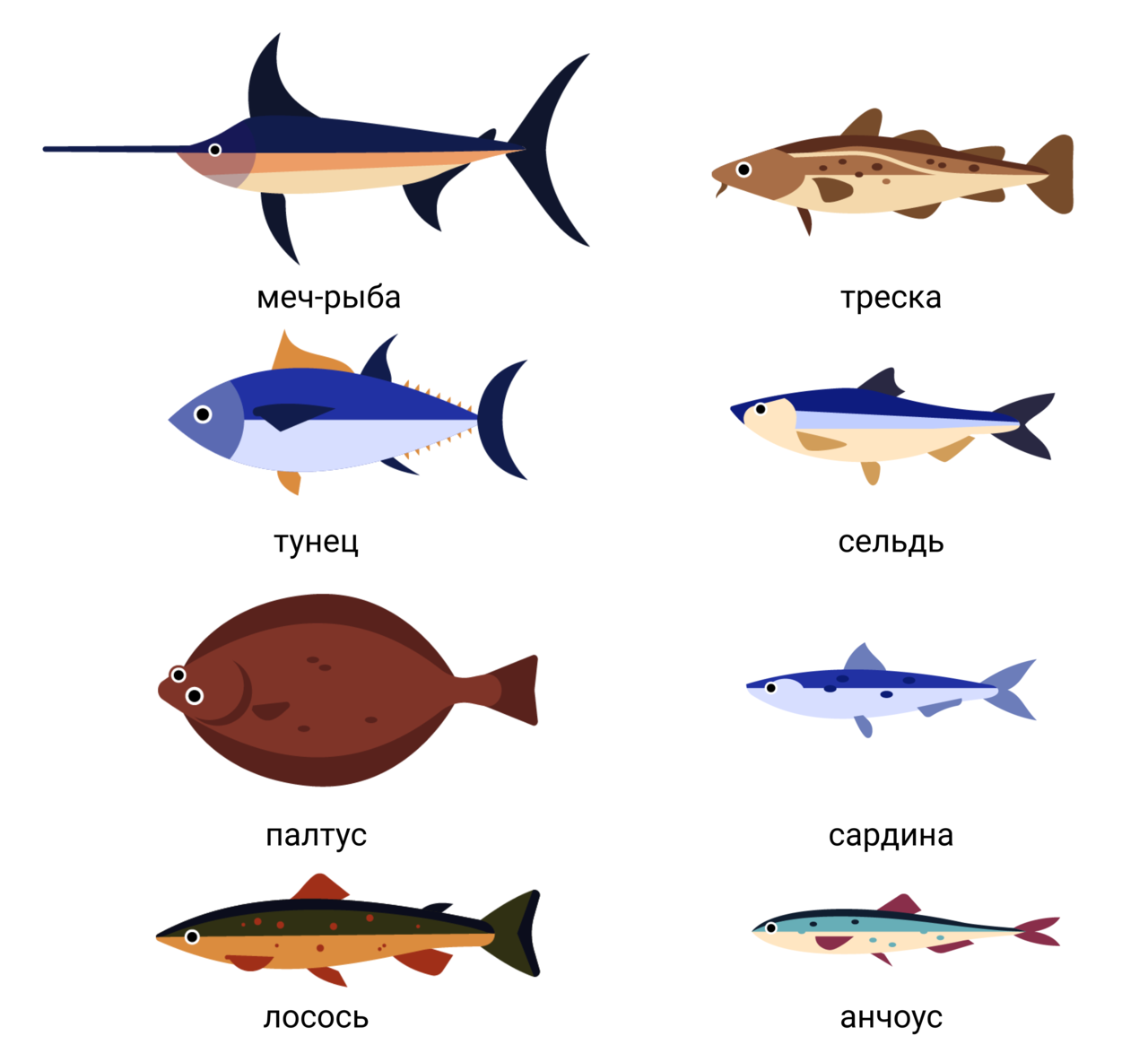 Все виды рыб и их названия. Виды рыб. Морская рыба названия. Разновидности рыб морских. Океанские промысловые рыбы.