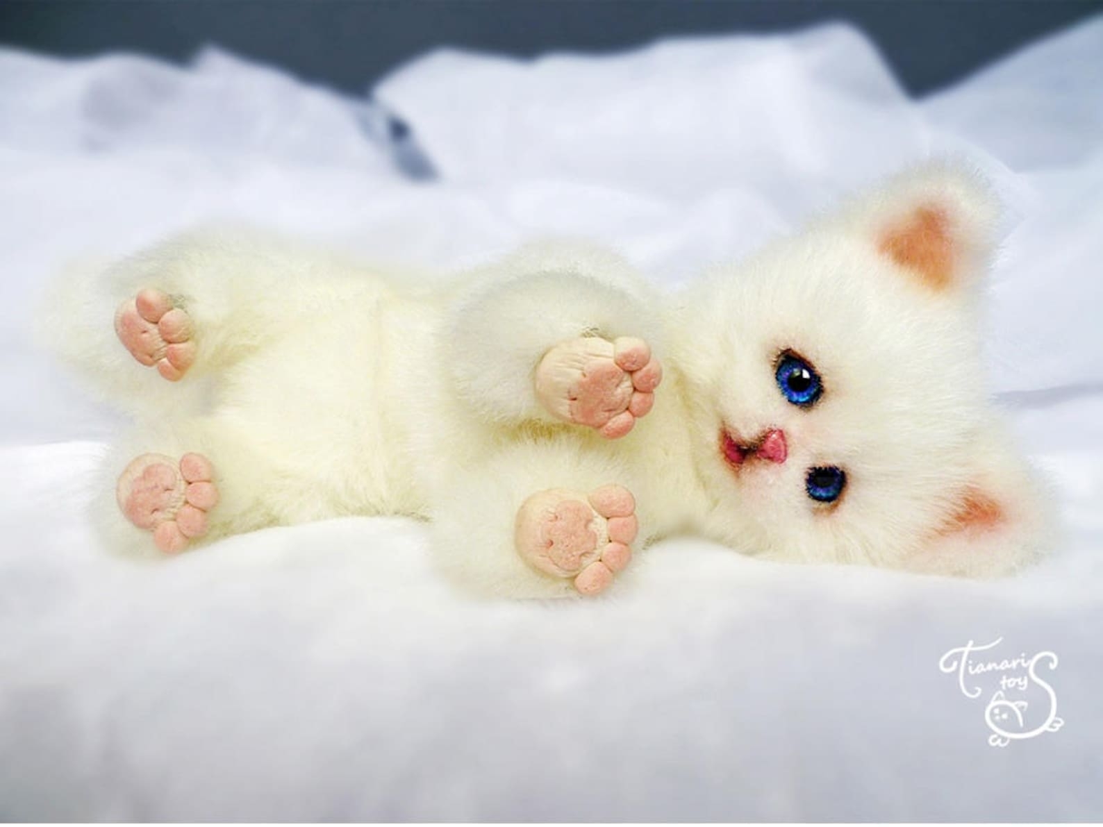 Купить милашку. Красивые игрушки. Милые мягкие игрушки. Котята милашки. Мягкая игрушка котенок белый пушистый.