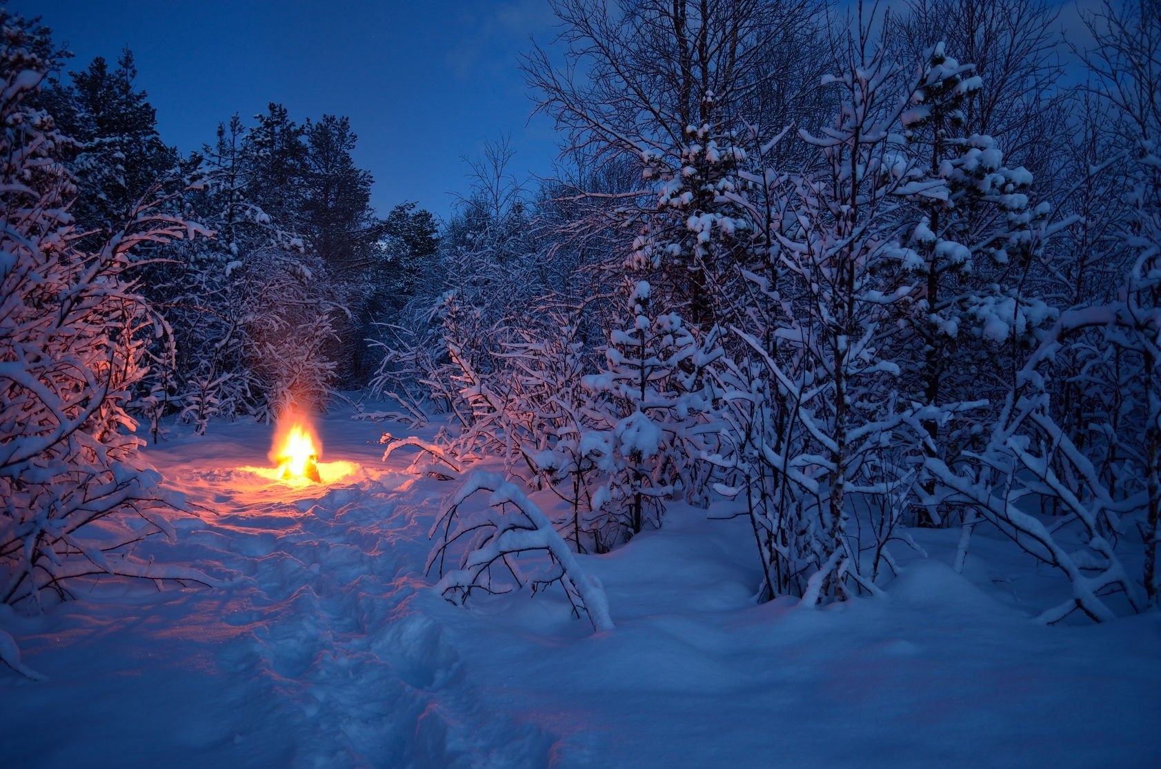 Winter flame. Костер в зимнем лесу. Сказочный костер в зимнем лесу. Костер в зимнем лесу ночью. Костер зимой сказочный.