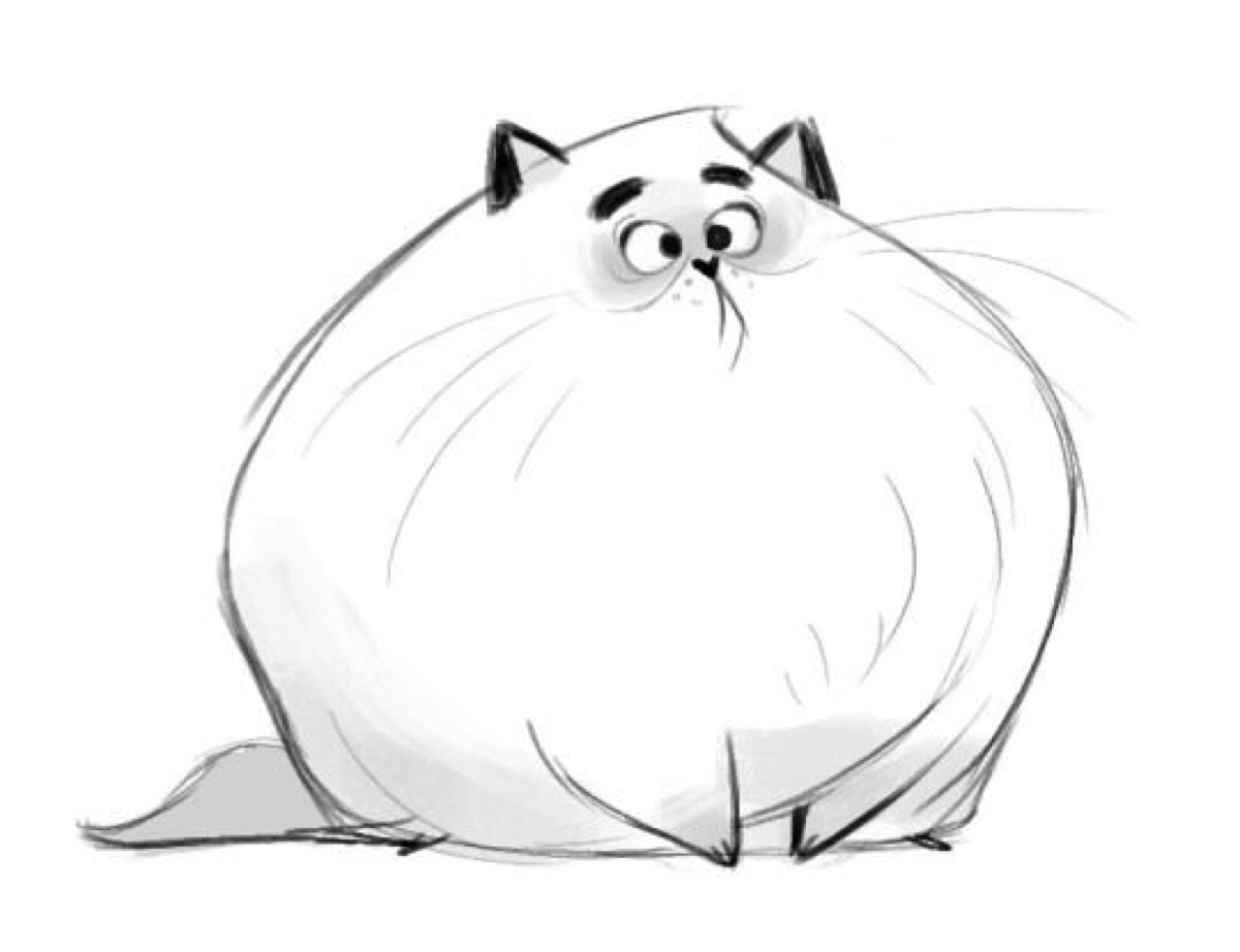Толстый кот скетч