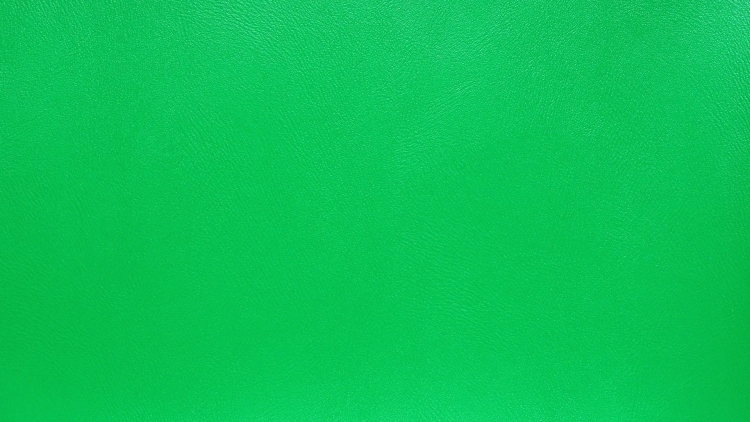 Зеленый фон чистый