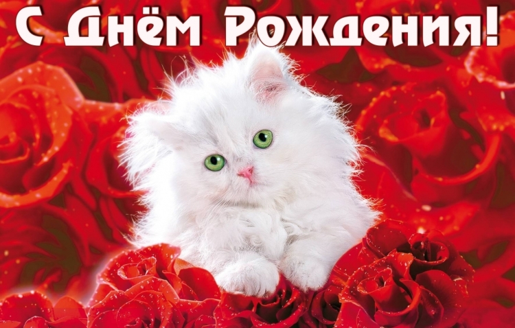 Поздравления с днём рождения Наталье прикольные