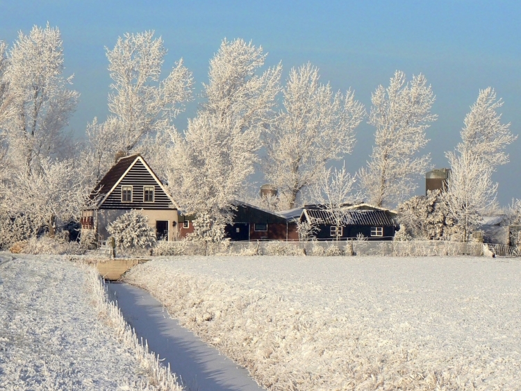 Зимняя деревня фон
