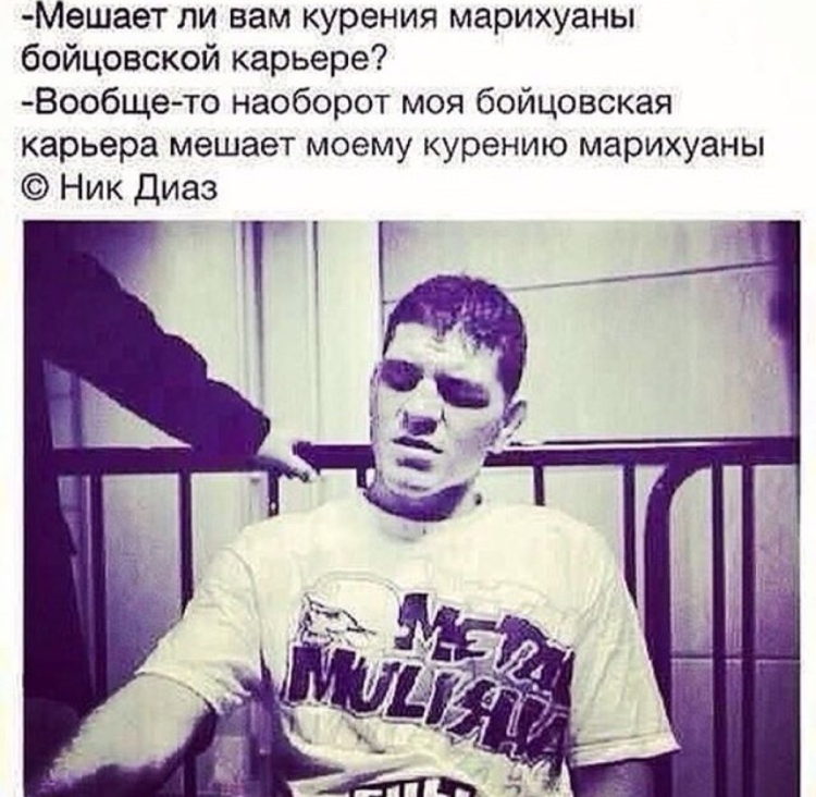 Араб Абу бандит