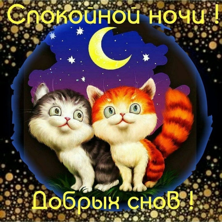 Доброй ночи до завтра