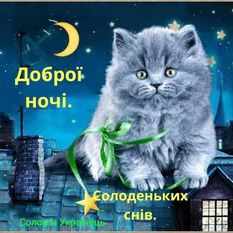 Доброй спокойной ночи