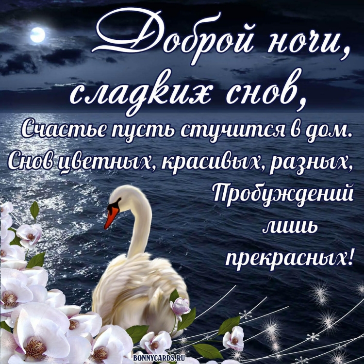 Спокойной ночи лебеди