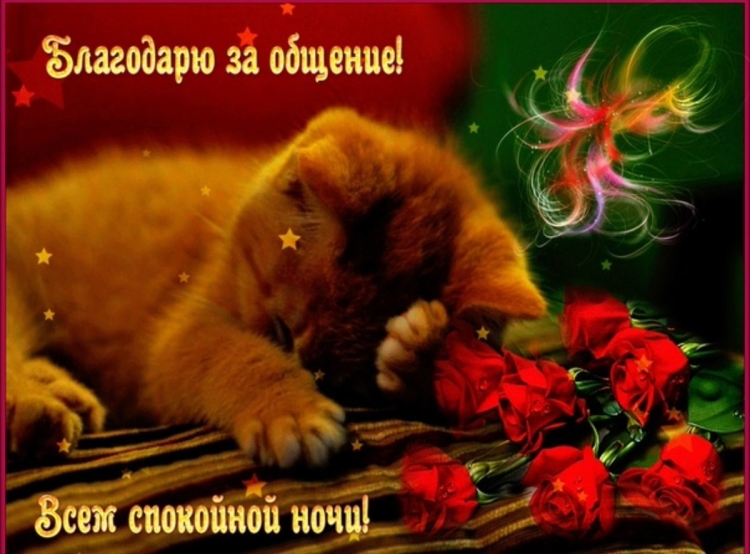 Спокойной ночи открытки анимация