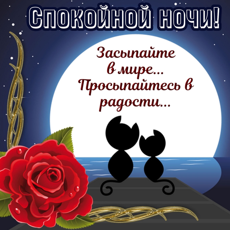Добрый вече и спокойной нрчи
