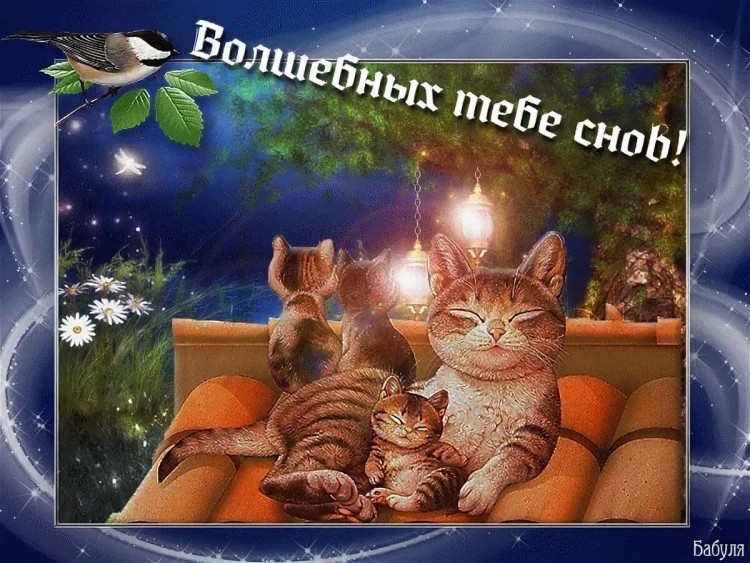 Живые открытки спокойной ночи