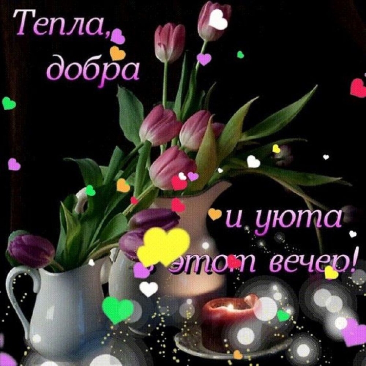 Хорошего вечера и доброй ночи