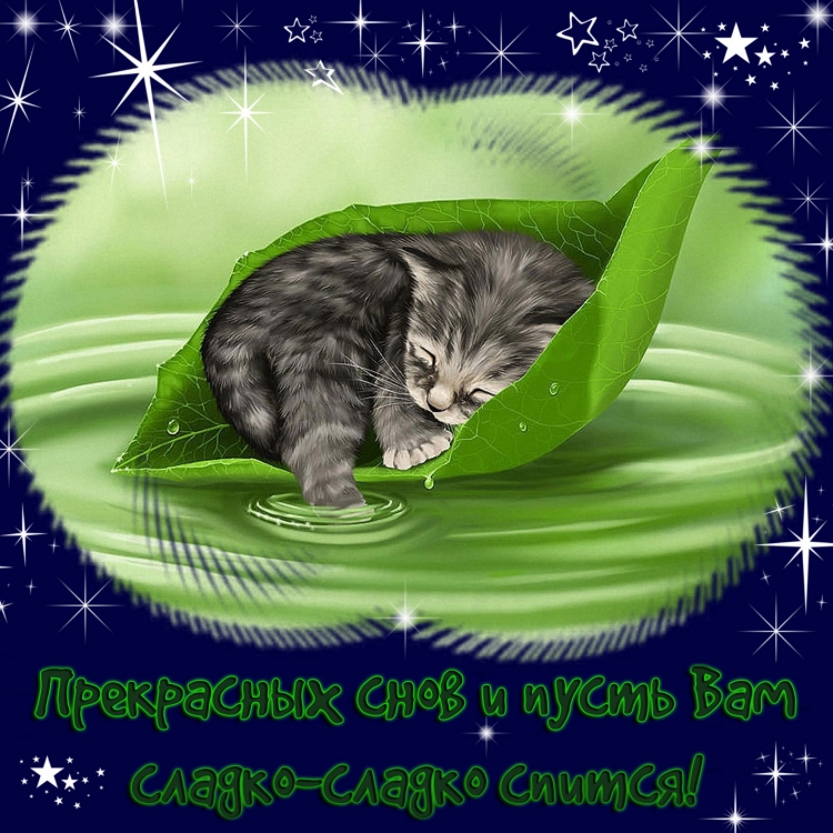Пожелания спокойной ночи