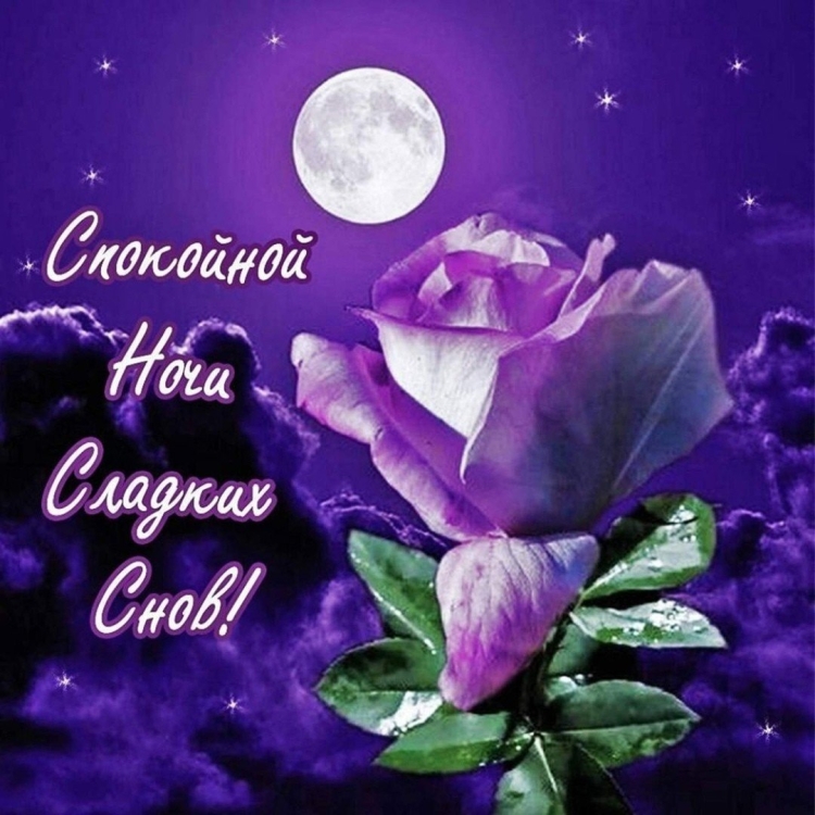 Доброй ночи до завтра
